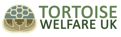 Tortoise Welfare UK